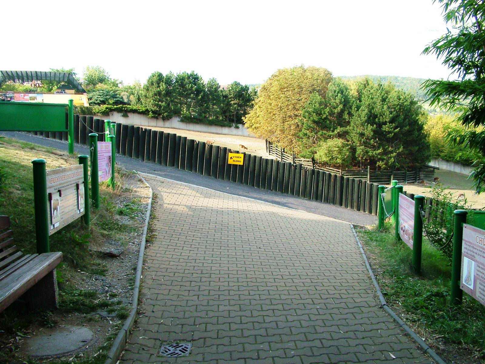 Pathway View at Usti, 29/08/12