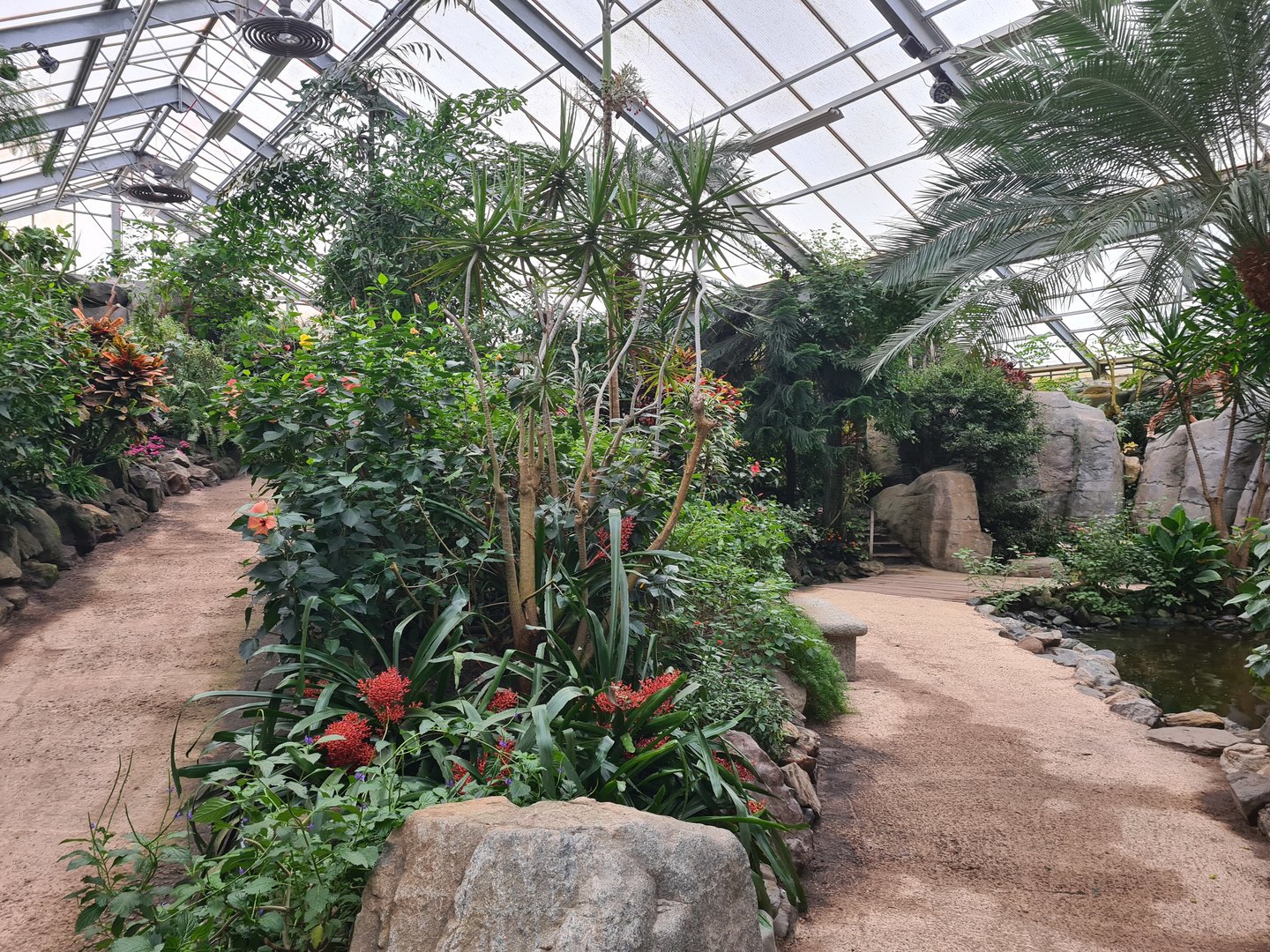 Pathways in Butterfly valley
