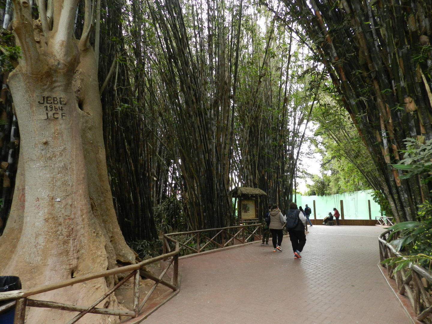 Pathways - Parque de Las Leyendas