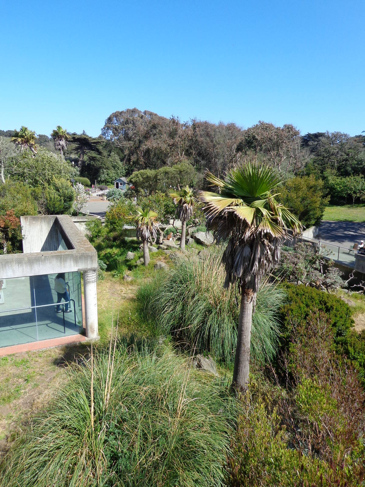 Pattas Monkey Exhibit