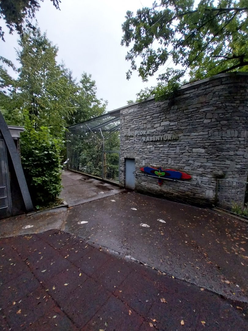 Paul Flora Rabenturm