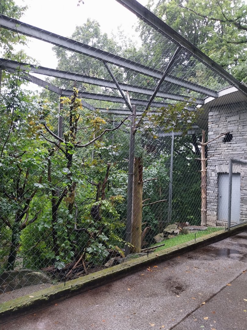 Paul Flora Rabenturm