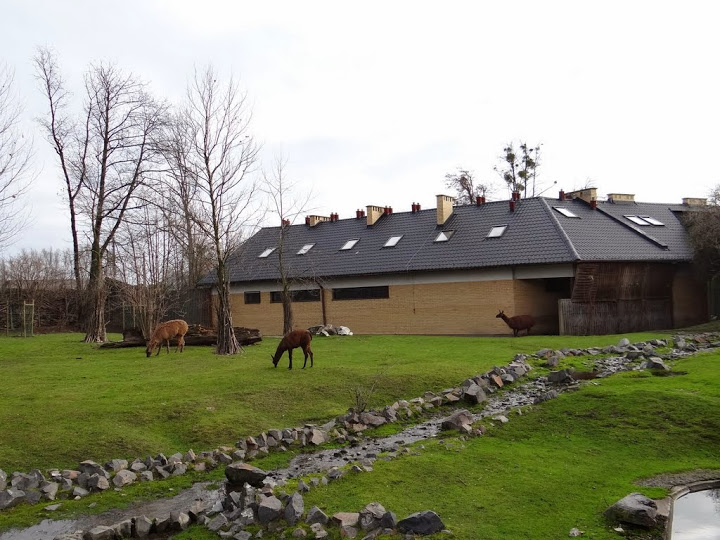 Pavilion and paddock of Lama glama