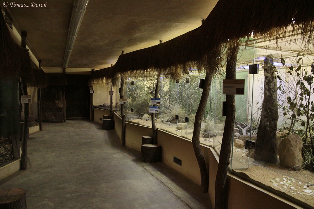 Pavilion for nocturnal animals