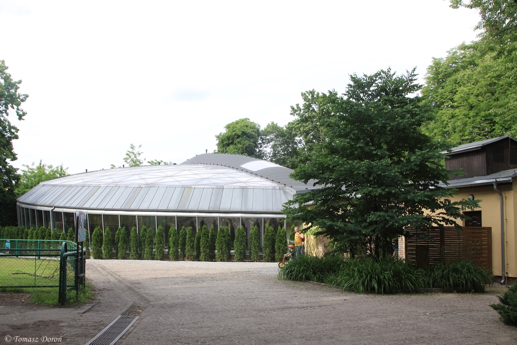 Pavilion for reptiles and amphibians