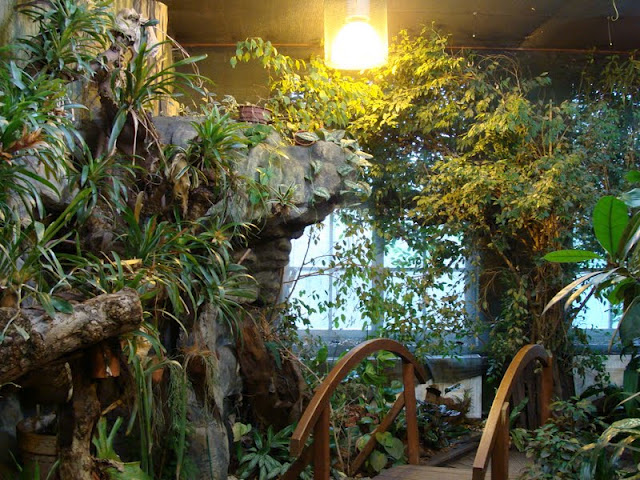 Pavilion of a butterfly