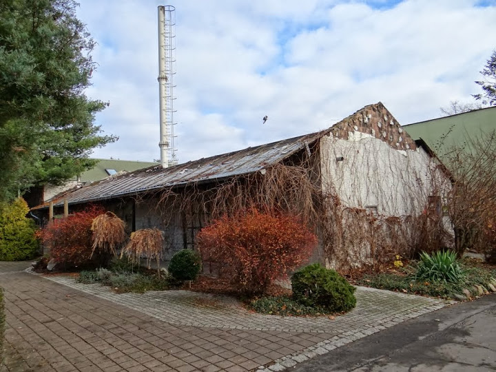 Pavilion of amphibians after the fire