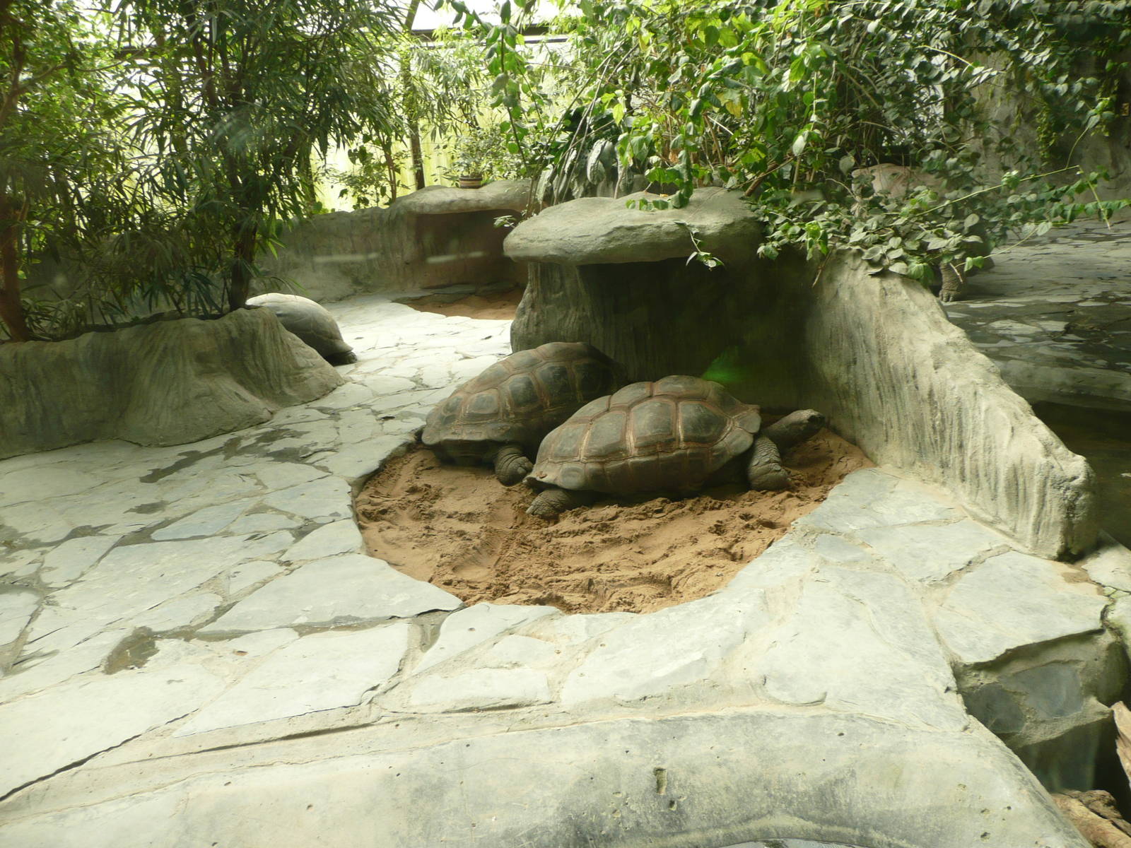 Pavilion of Big Tortoises