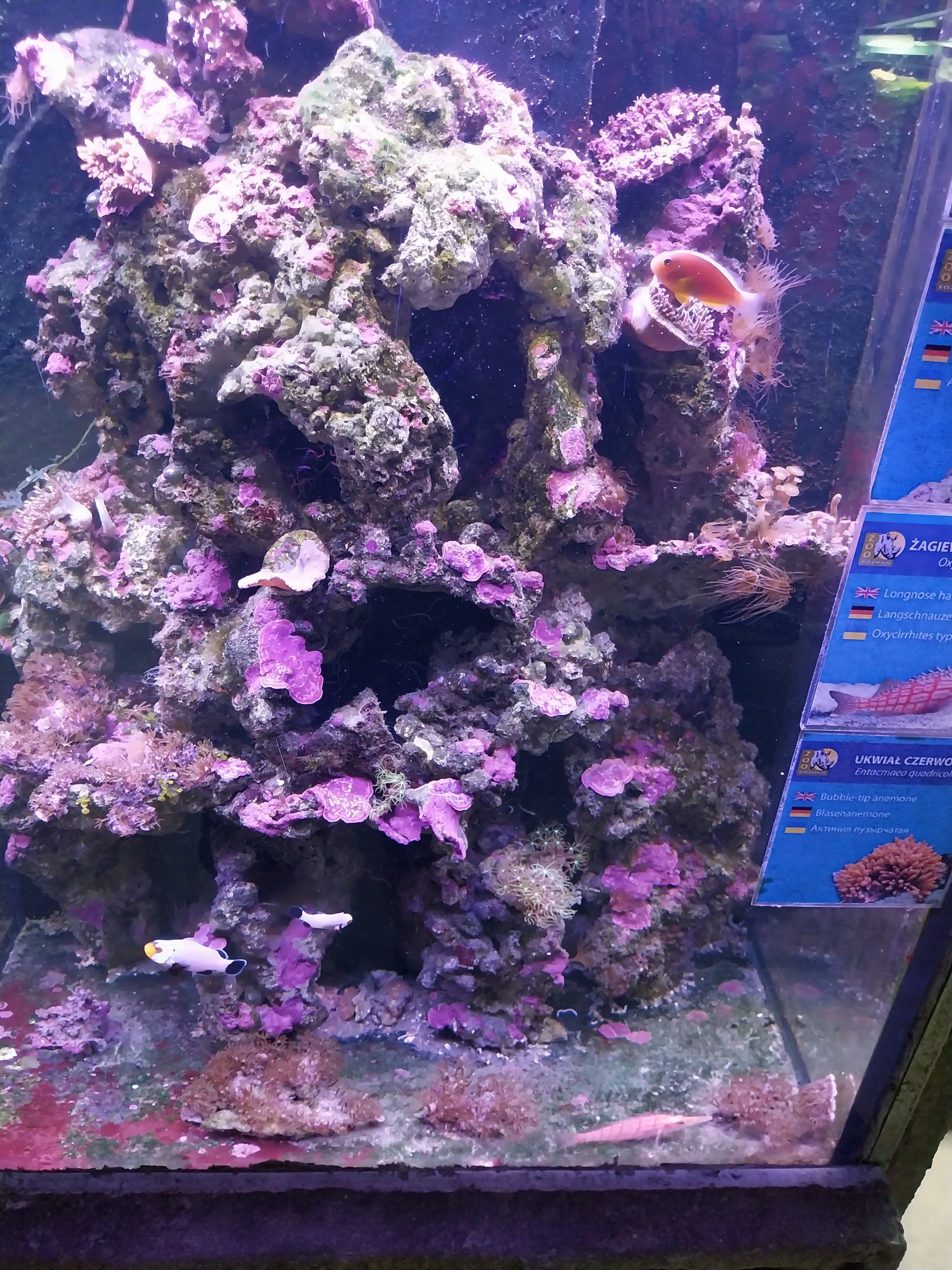 Pavilion of Cold-blooded Animals - Aquarium