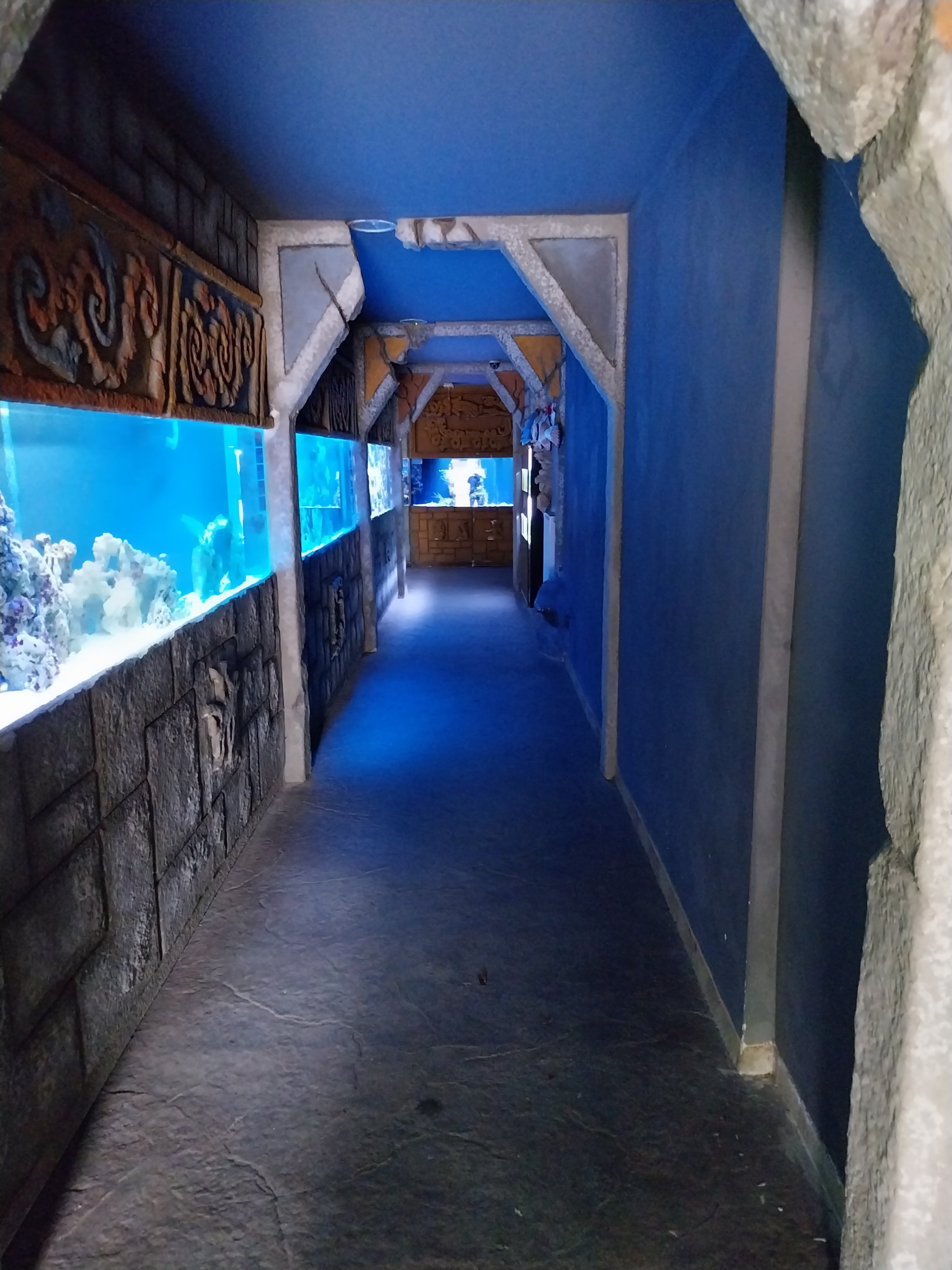 Pavilion of Cold-blooded Animals - First corridor (saltwater)
