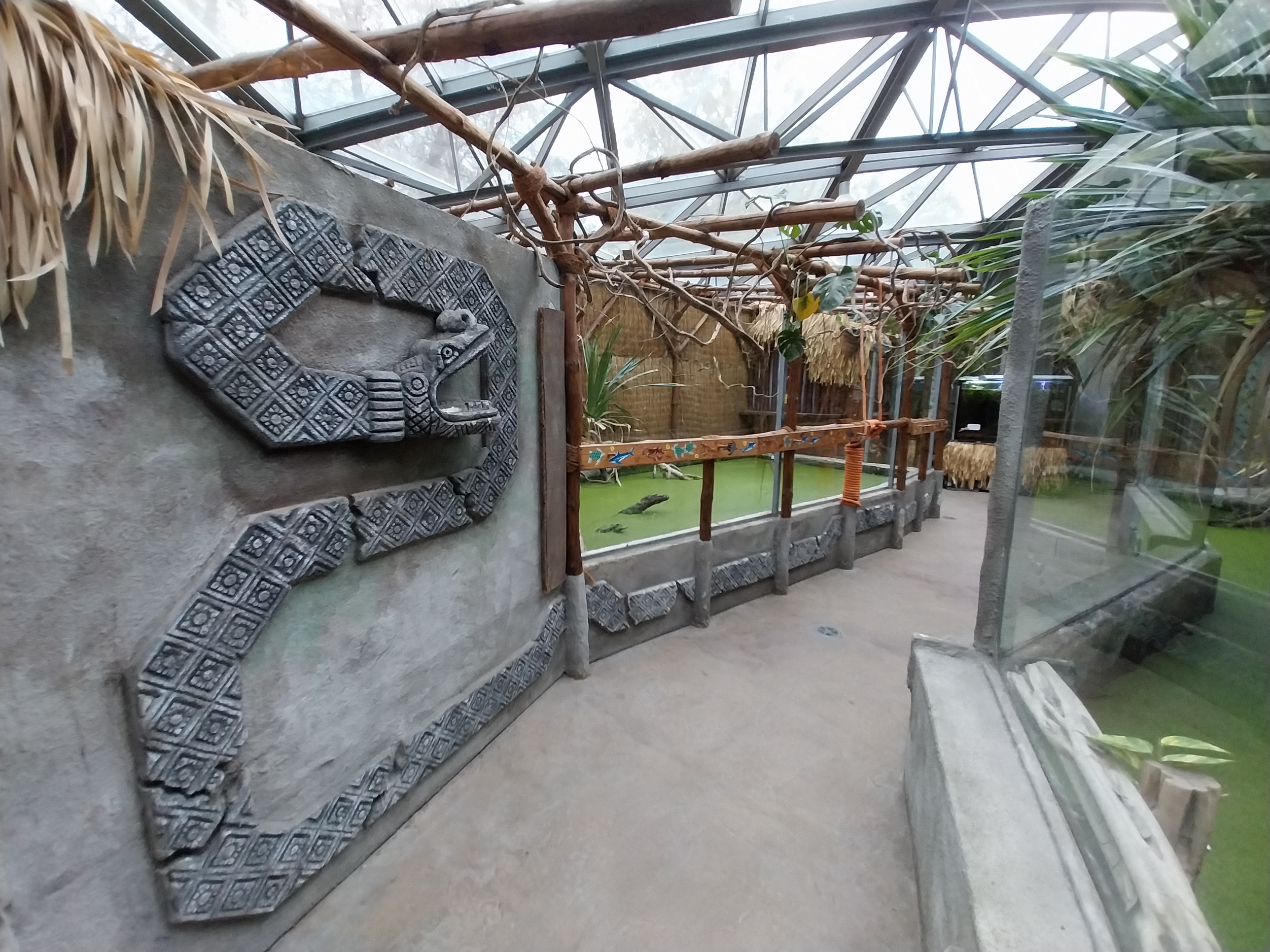 Pavilion of Cold-blooded Animals - Nile Crocodile (Crocodylus niloticus)