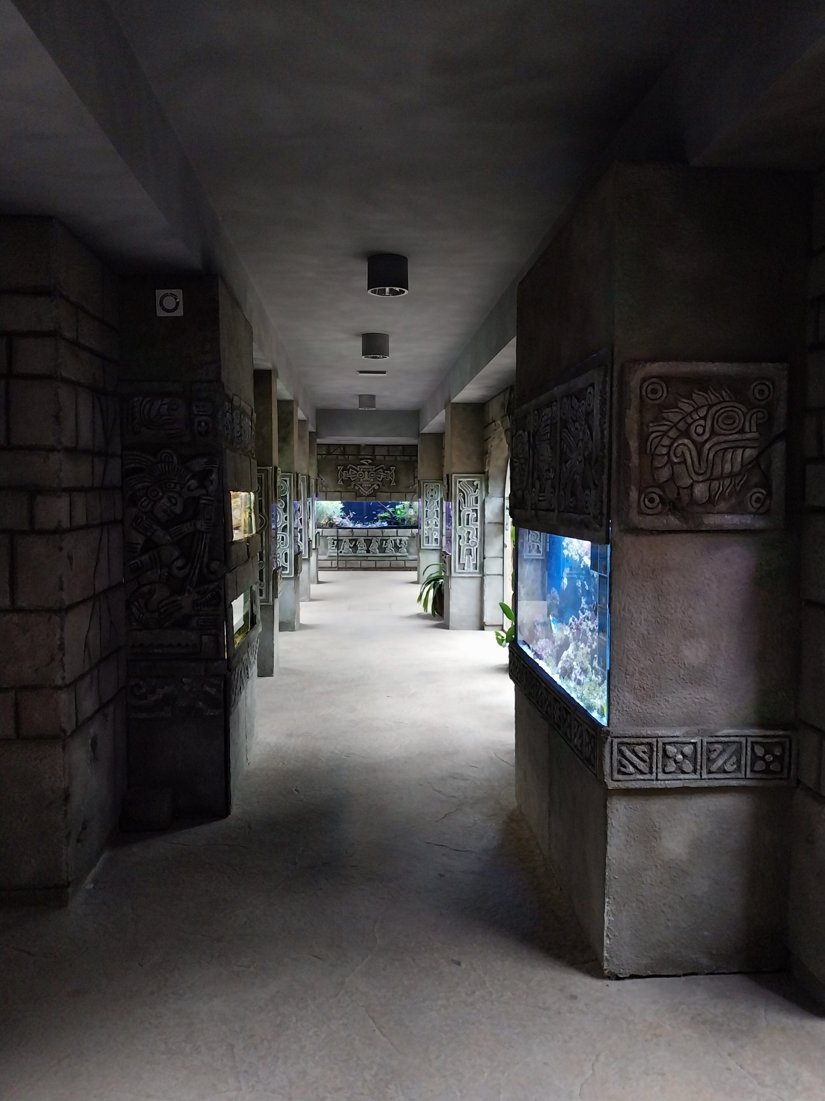 Pavilion of Cold-blooded Animals - Transverse