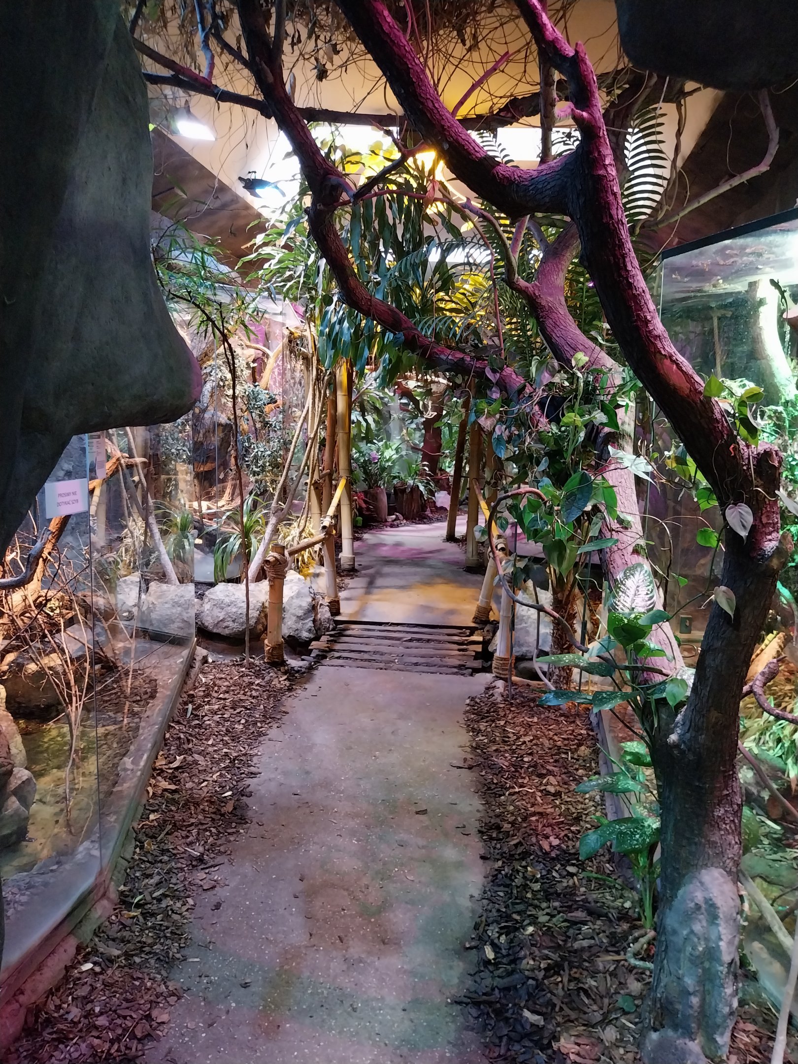 Pavilion of Cold-blooded Animals - Tropical Section