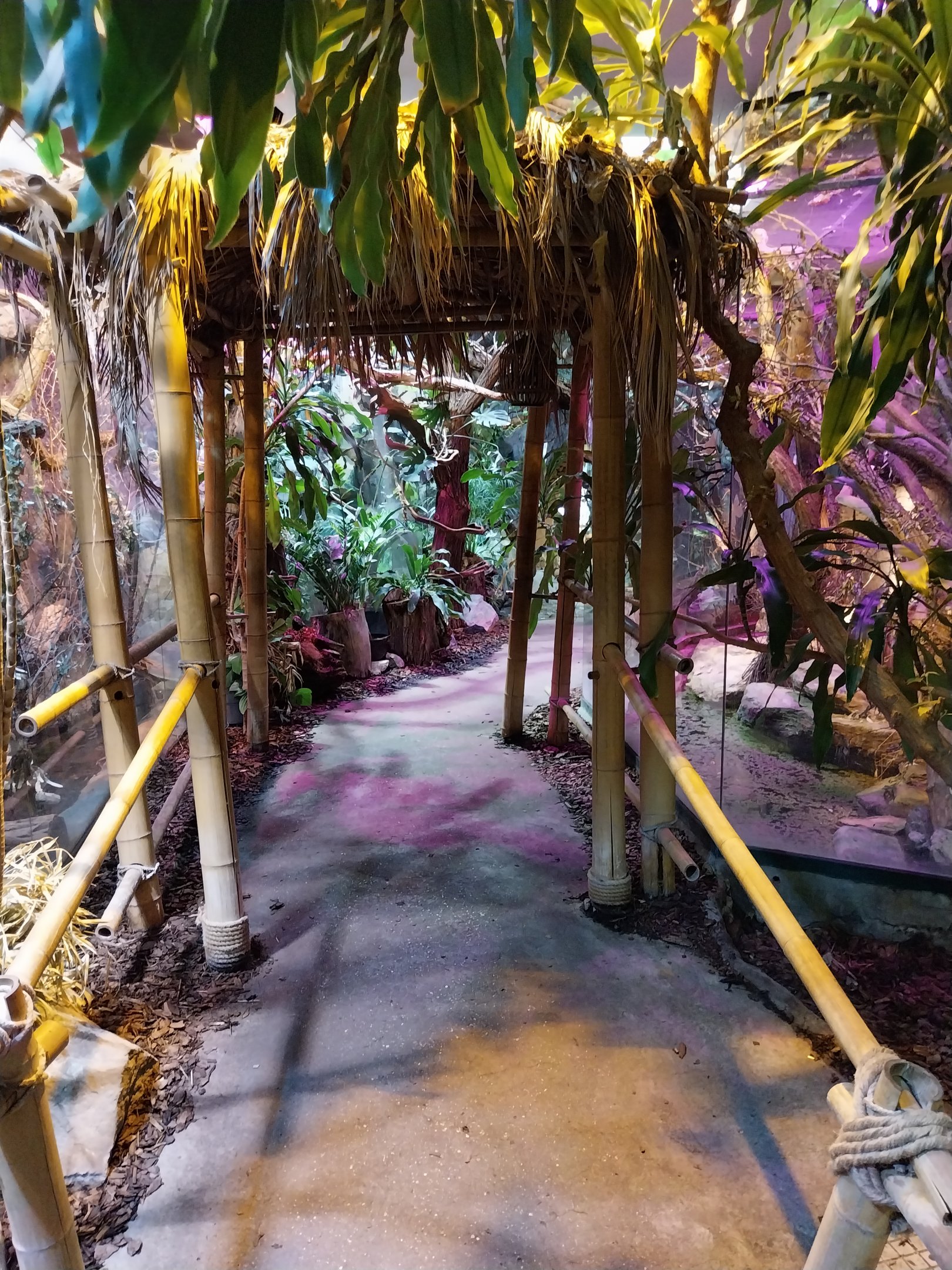 Pavilion of Cold-blooded Animals - Tropical Section