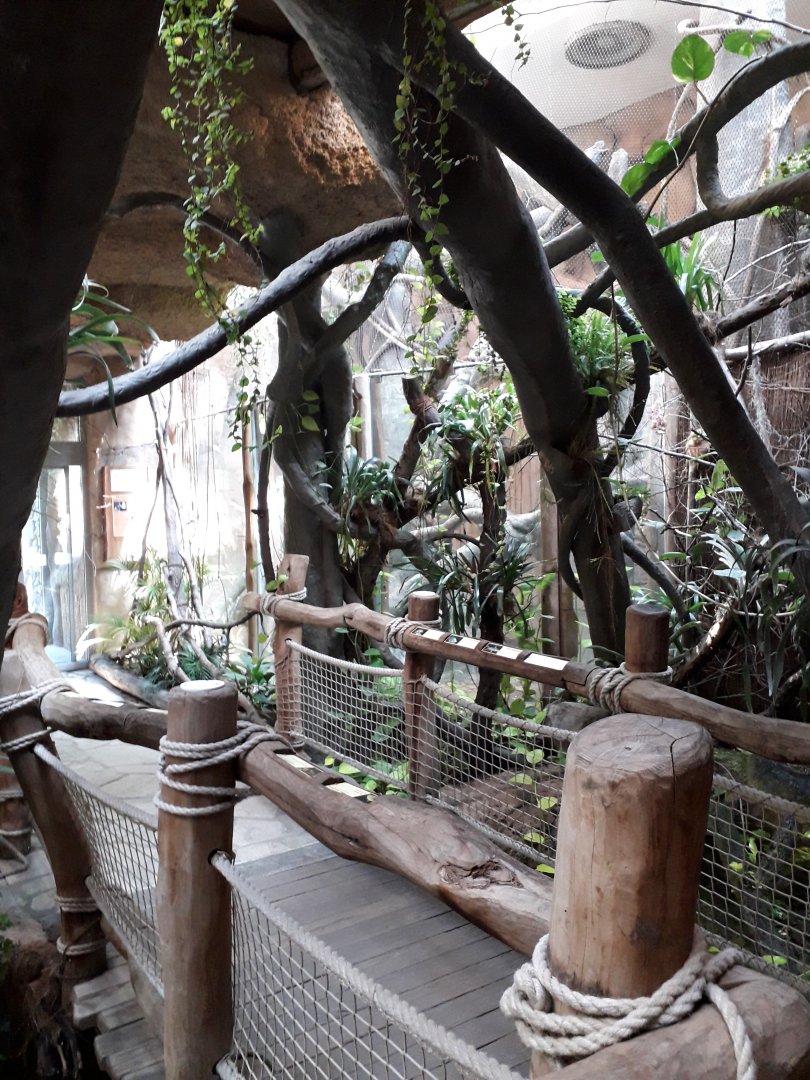 Pavilion of Evolution