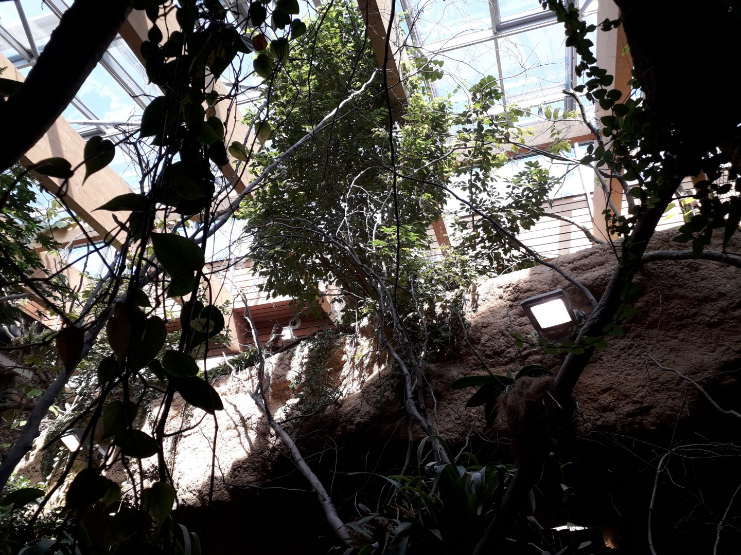 Pavilion of Evolution