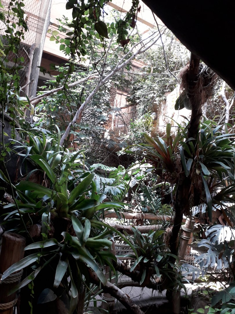 Pavilion of evolution