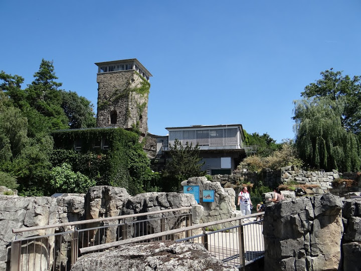 Pavilion of exotarium