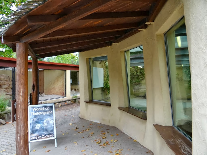 Pavilion of Geochelone gigantea