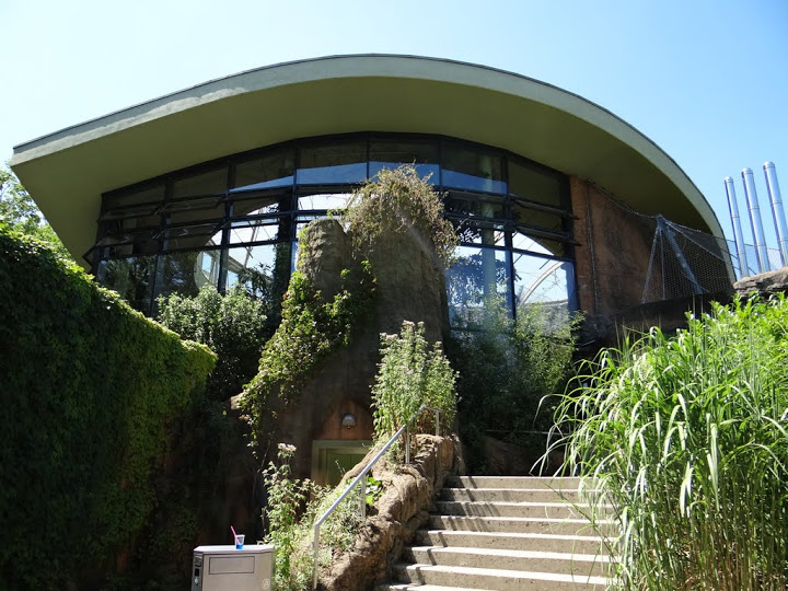 Pavilion of gorillas and other