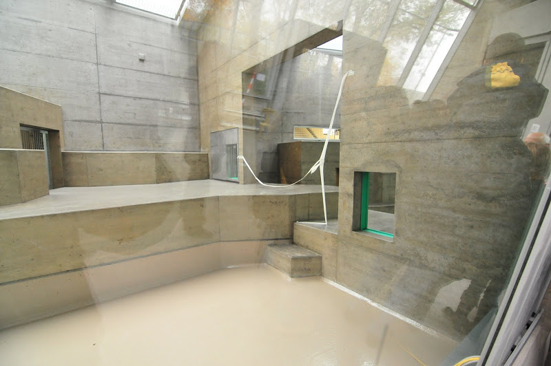 Pavilion of gorillas - first touring 11.11.2012