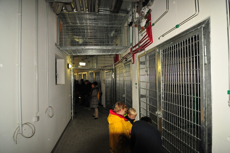 Pavilion of gorillas - first touring 11.11.2012