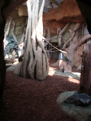 Pavilion of gorillas