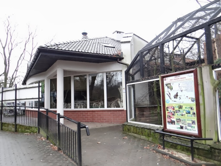 Pavilion of Goura victoria / Pavo muticus