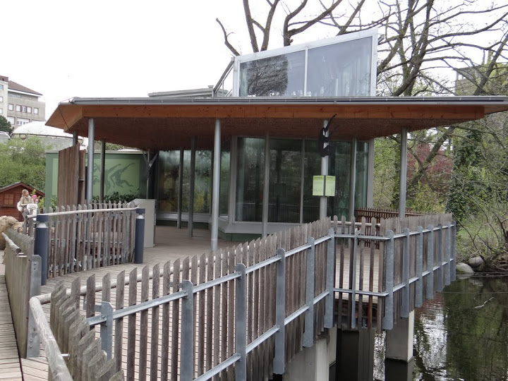 Pavilion of Hylobatidae