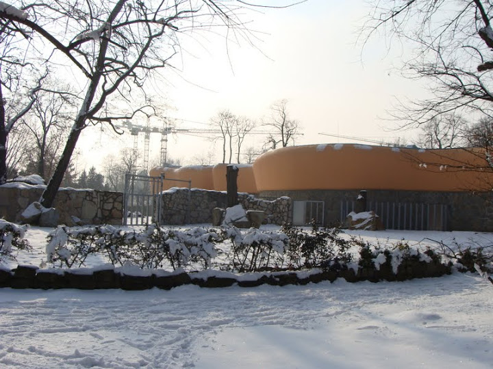 Pavilion of Indian rhinoceros