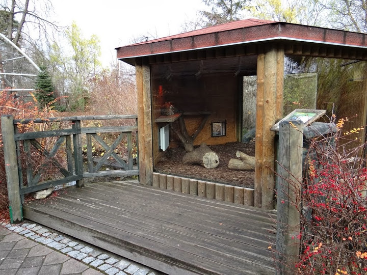 Pavilion of Lemur catta