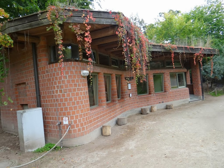 Pavilion of Macropus rufogriseus