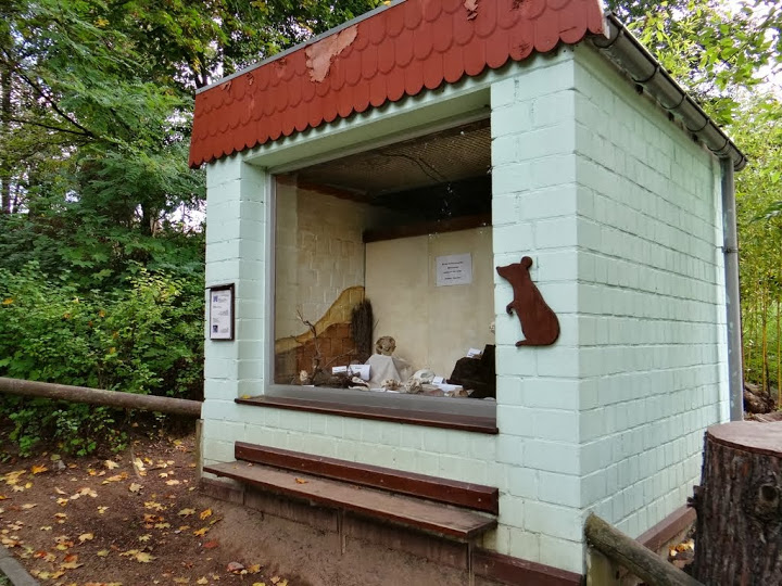 Pavilion of Meriones unguiculatus