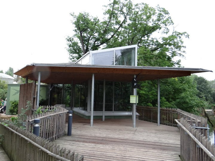 Pavilion of Nomascus leucogenys