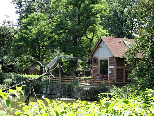 Pavilion of Saimiri monkeys