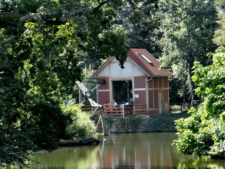 Pavilion of Saimiri sciureus