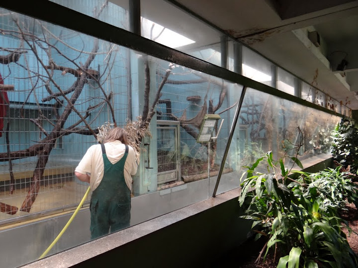 Pavilion of smaller monkeys