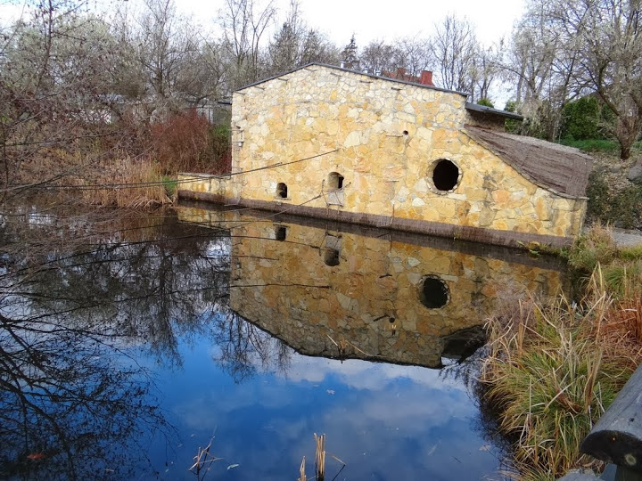 Pavilion of Symphalangus syndactylus