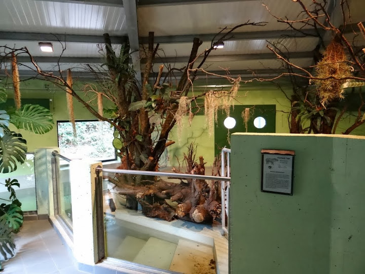 Pavilion of Tapirus terrestris