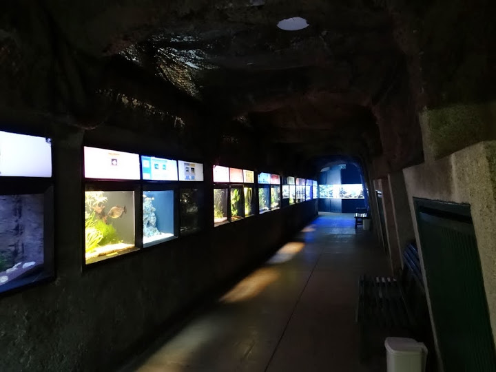 Pavilion of the aquarium