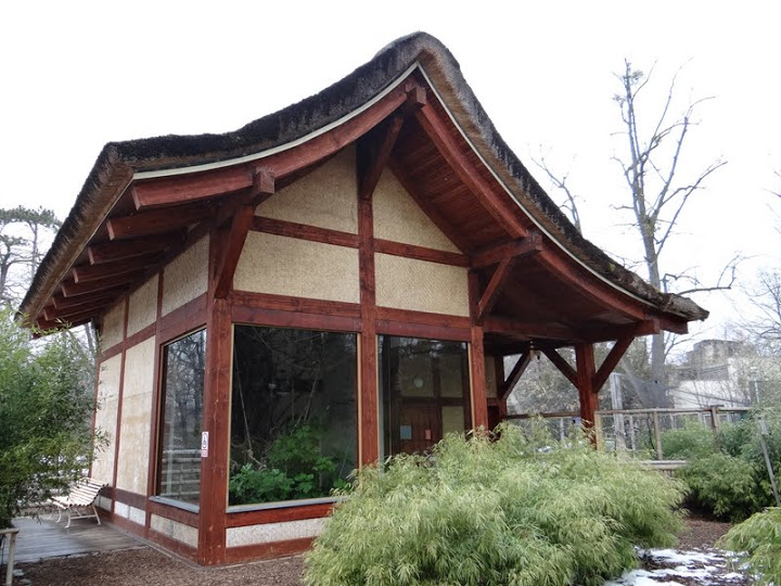 Pavilion of the gibbon