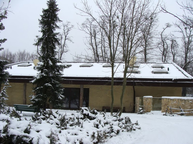 Pavilion of the Sahara