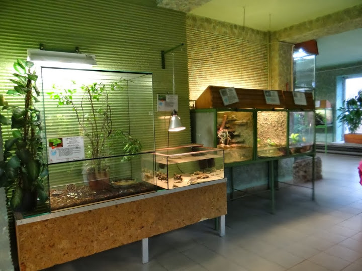 Pavilion of the vivarium