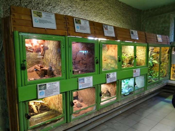 Pavilion of the vivarium