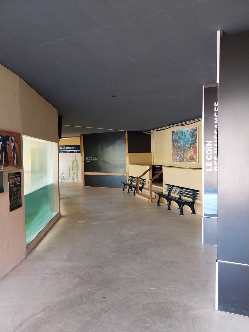 Pavillion des Manchots - Visitors area