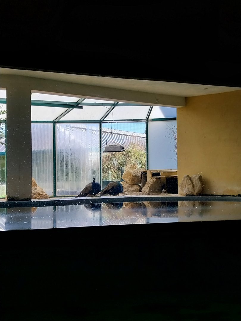 Pavillion des Manchots