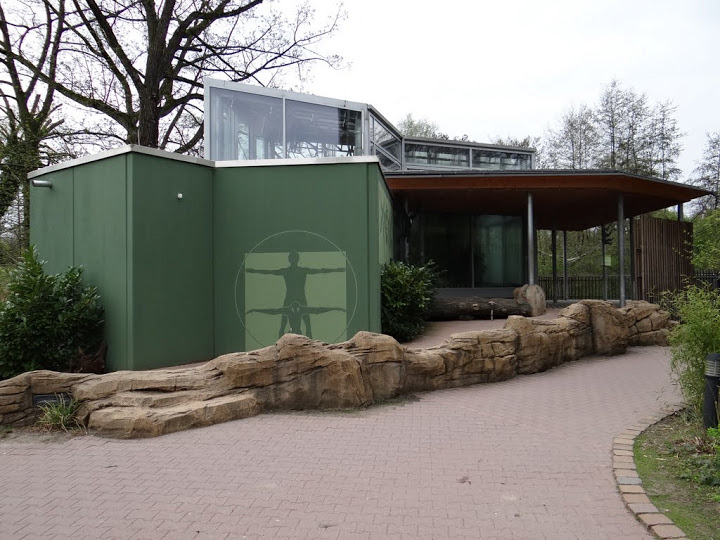 Pavillon of Hylobatidae