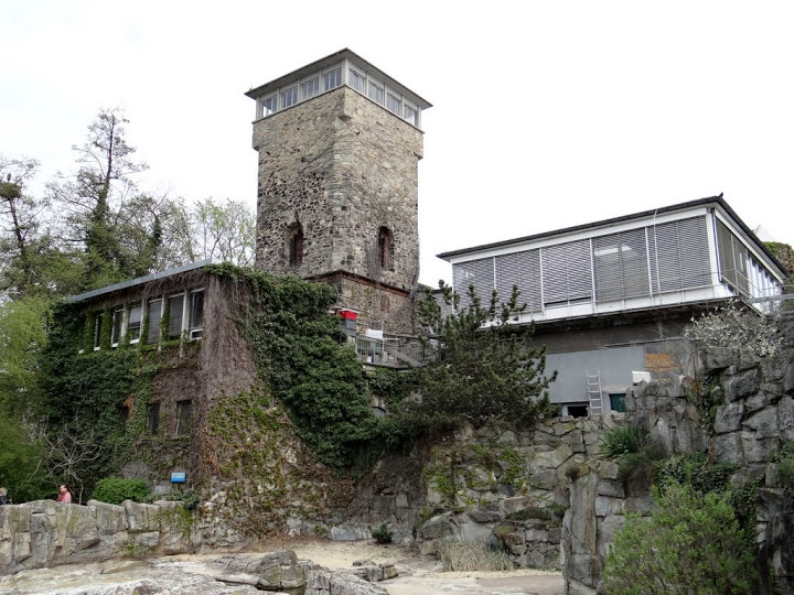 Pavilon of terrariums