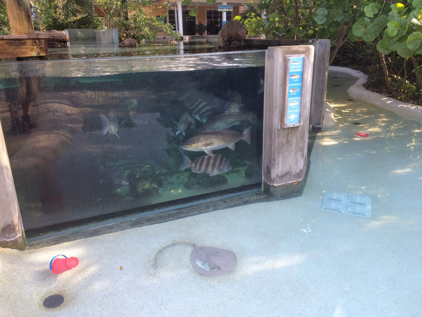 Paws On - Indian River Play Lagoon