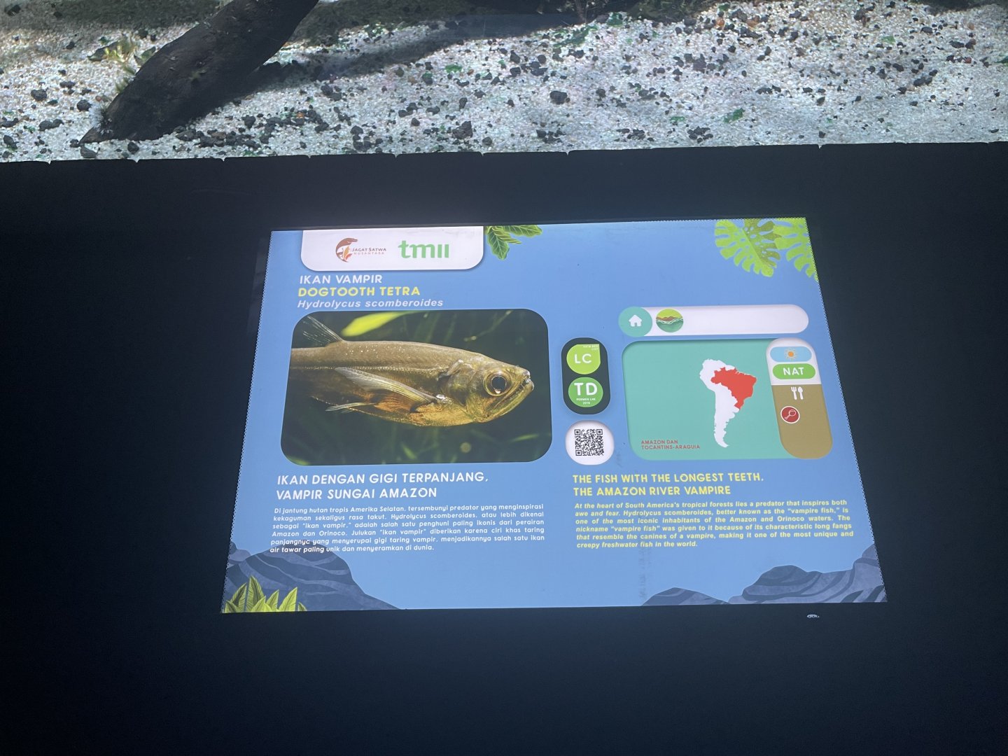 payara signage - dunia air tawar